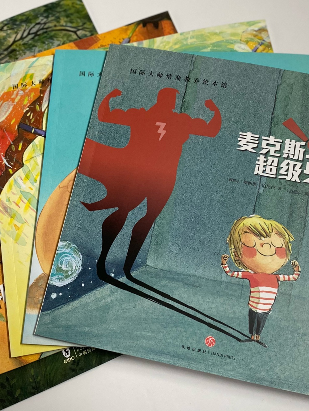 Chinese Mandarin Children's Picture Book Set of 5